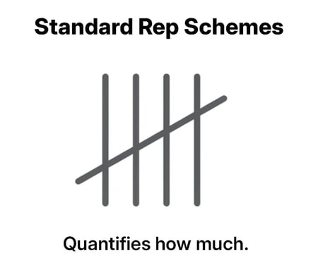 Graphic labeled ‘Standard Rep Schemes’ showing tally marks, with the caption: ‘Quantifies how much.’