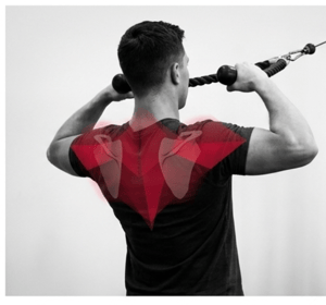 Man performing Face Pull with external rotation - showing elbows at shoulder height and wrists above elbows
