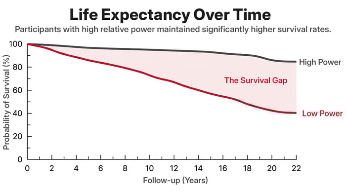 Line graph titled “Life Expectancy Over Time” showing probability of survival over 22 years of follow-up. The high-power group remains near 85–90% survival, while the low-power group steadily declines to around 40%, illustrating a widening survival gap between individuals with high versus low muscle power.