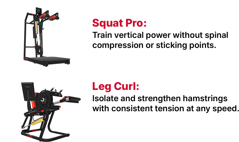 Squat Pro and Leg Curl